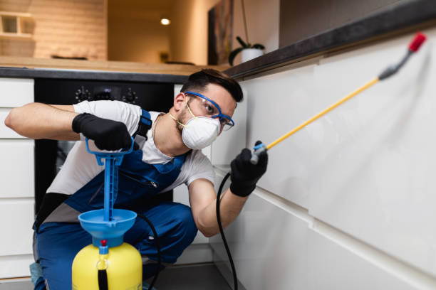 Best Emergency Pest Control  in New Middletown, OH