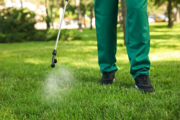 Best Ant Control Services  in New Middletown, OH