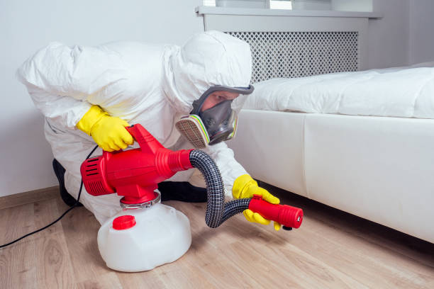 Best Affordable Pest Control Services  in New Middletown, OH