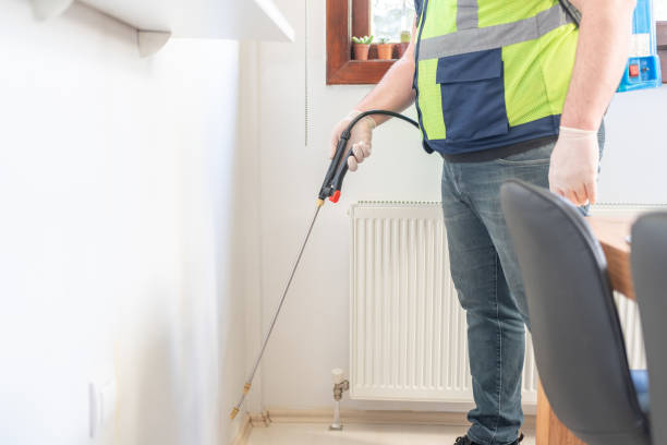 Best Local Pest Control Services  in New Middletown, OH